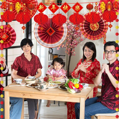 Ragnhild 24 Pcs Chinese New Year Decorations 2026, Chinese Red Paper Fans Lanter