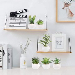 GREENTIME 6 2.5 inches (D) x (W) x 4.5 (H), Green-white Pot