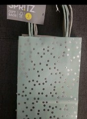 Spritz Mint and Gold Gift Bag/Party Set