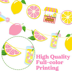 2Pcs Pink Lemonade Party Banners Lemon Citrus Garland, Summer Fruit Lemonade Sta