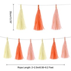 15Pcs Peach Pink, Creamy White, Bright Orange Tassel Garland Banner with Rope