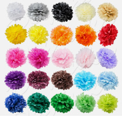 14 pcs 13.5″ + 9.5″Rainbow Tissue Paper Pom Poms Paper Flowers Party Decorations
