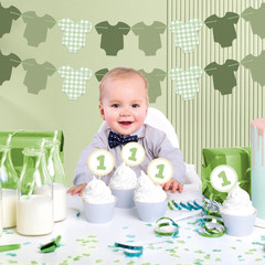 Green Bodysuit Party Decorations, Green Gingham Birthday Banners, Baby Shower Pa