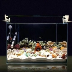 Natural Sea Shells Conch Fish Tank Aquarium Landscape Ornament Home Decor DIY
