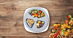 Portions Master All in 1 Adjustable 1 Count (Pack of 1), Blue and Gray