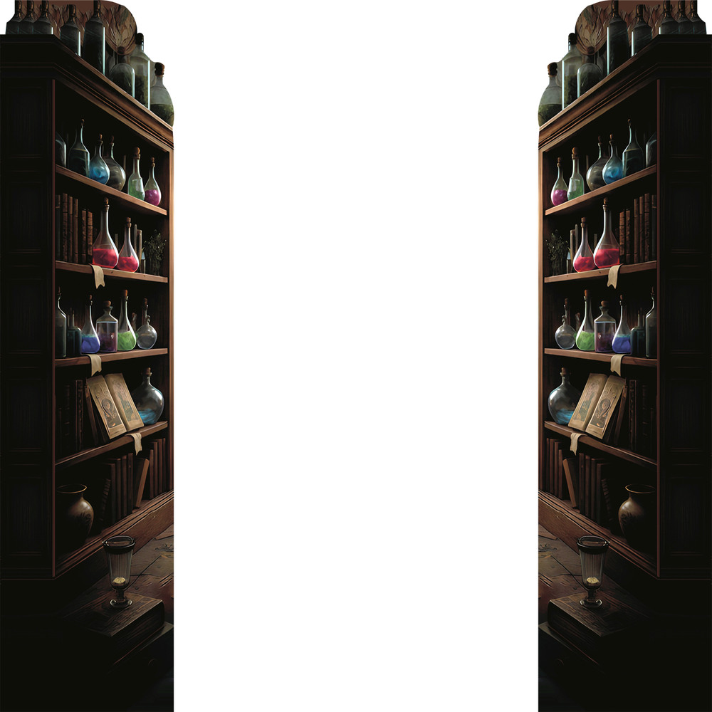 SP13619 Medieval Fantasy Wizard Shelf 2pack Magic Potions Poisons Alchemy Prop C