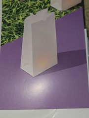 Sun Squad White Resin Luminary Bags Indoor Outdoor Reusable 6 Pack Solid