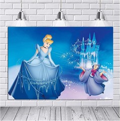 Cinderella Princess Birthday Party Supplies Party Backdrop Photo Background 5×3′