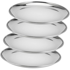 MUKCHAP 4 PCS 10 Inch Stainless Steel Plates, Round Metal Medium, Silver
