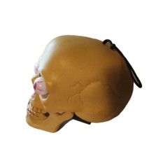 Vintage Plastic SKULL HEAD LIGHT UP Bulging Eyes Halloween decor hinged jaw