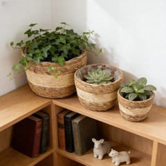 3 Piece Lined Wicker Plant Basket Set 18 22 25 cm Natural Seagrass Decor