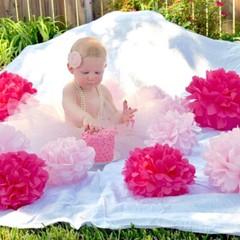 9Pcs Mixed Tissue Paper Pom Poms Hanging Wedding Birthdays Party Decor