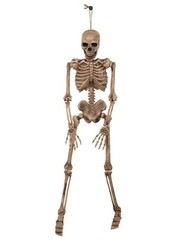 Spooky Skeleton Decor for Halloween Party – Limited Stock!