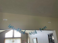 Baby Boy SPRINKLE Shower Backdrop, letter banner & table cloth decorations