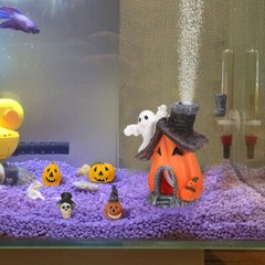 5PCS Fish Tank Decor Halloween Betta Holiday Decorations Pumpkin House