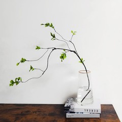 Cherica 4 Pcs Artificial Ficus Branches Faux Eucalyptus Stems, 4 Pcs, Green