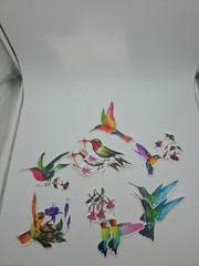 10 Pieces Large Size Hummingbird Window Decals Lot