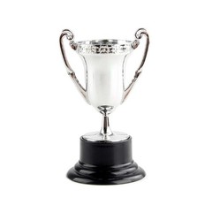 10PCS School Props Miniature Prizes Cup Model Trophies Sports Game Winner Award