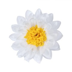 18-Pack 10 inch White Tissue Pom Poms Daisy Flower Party Backdrop Decor