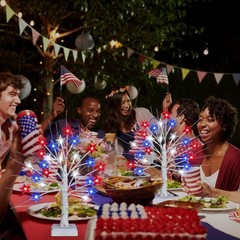 Festive 2 Pack 18 Inch Tabletop Tree Lights with 24 LEDs – Ideal for Parties