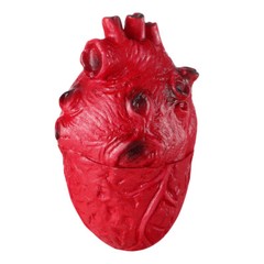 Halloween Fake Heart Prop Scary Body Part Blood Heart Decoration Party Supplies