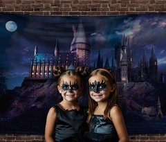 ConQuest Journals Harry Potter Hogwarts Castle at Night Backdrop Wall Banner,…