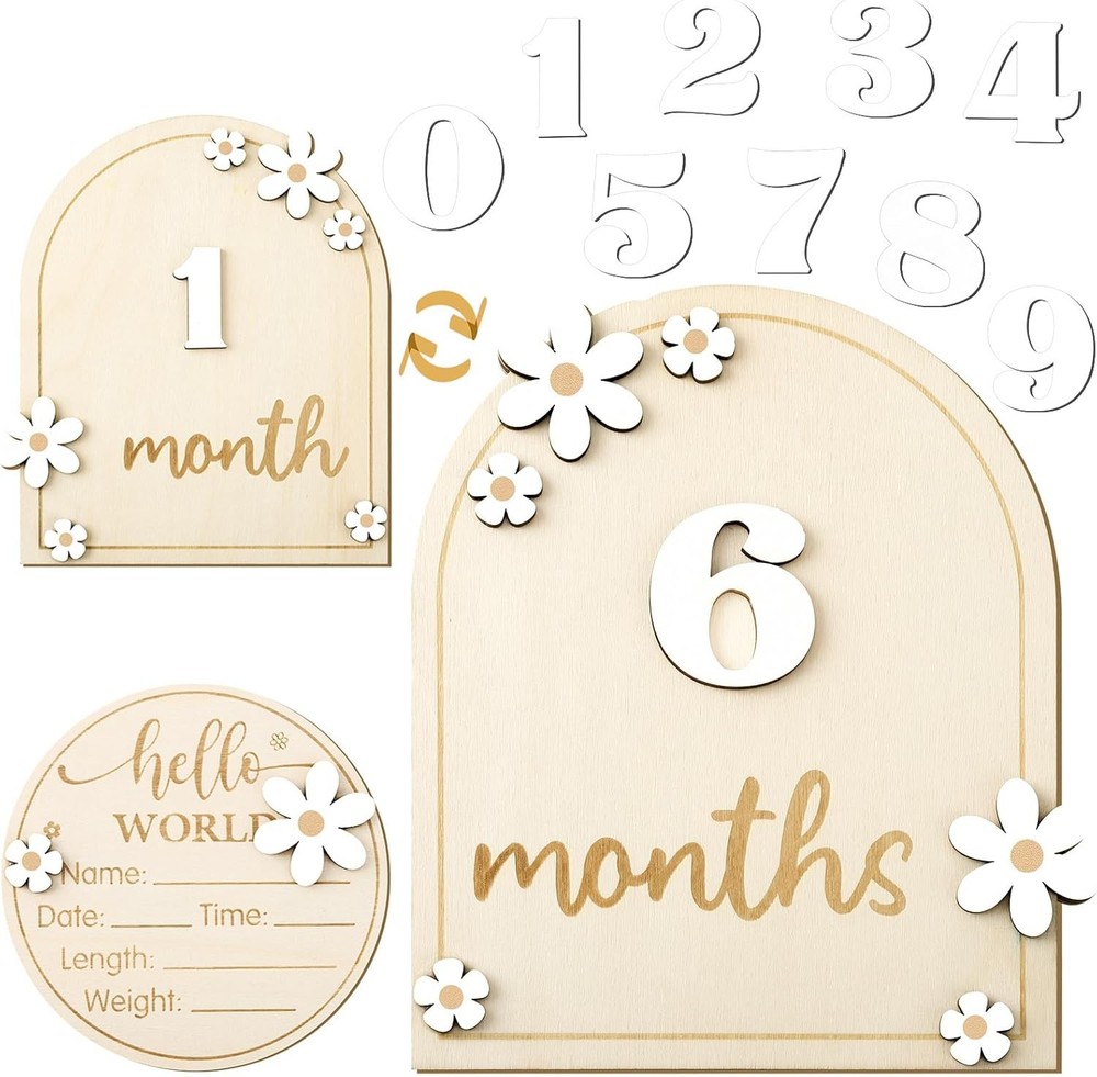 Baby Monthly Milestone Cards with Hello World Newborn Sign, Daisy Baby…