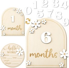 Baby Monthly Milestone Cards with Hello World Newborn Sign, Daisy Baby…