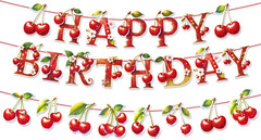 Dragonfly Happy Birthday Banner Iridescent Insect Sign Hanging Paper Birthday Pa