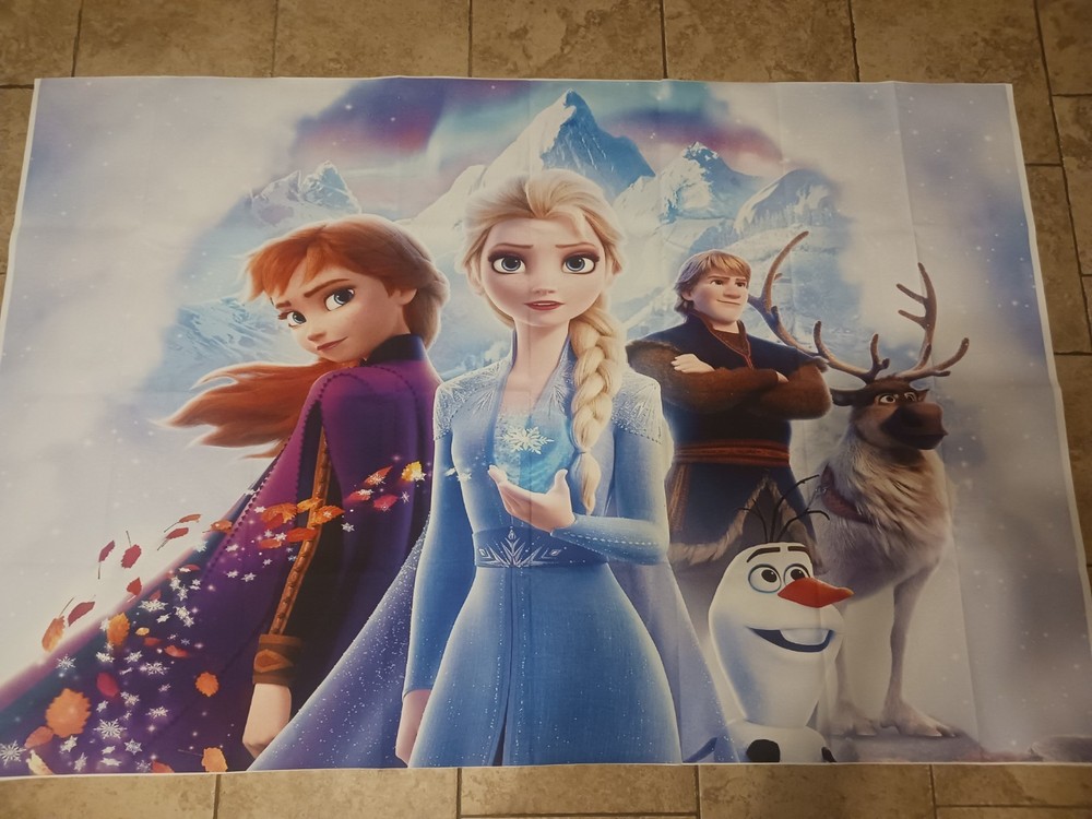 Frozen Banner Party Background Decoration Photograph Vinyl Backdrop 3 x 5 ft