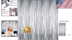 Elegant Silver Tinsel Fringe Backdrop – Perfect for Weddings & Birthdays, 2 Pcs