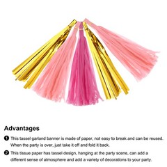 30Pcs Bright Gold, Rose Red, Light Pink Tassel Garland Banner with Rope
