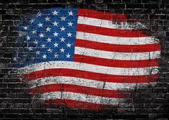 7X5 Ft Patriotic Backdrop for 4th of July and Veterans Day Celebrations