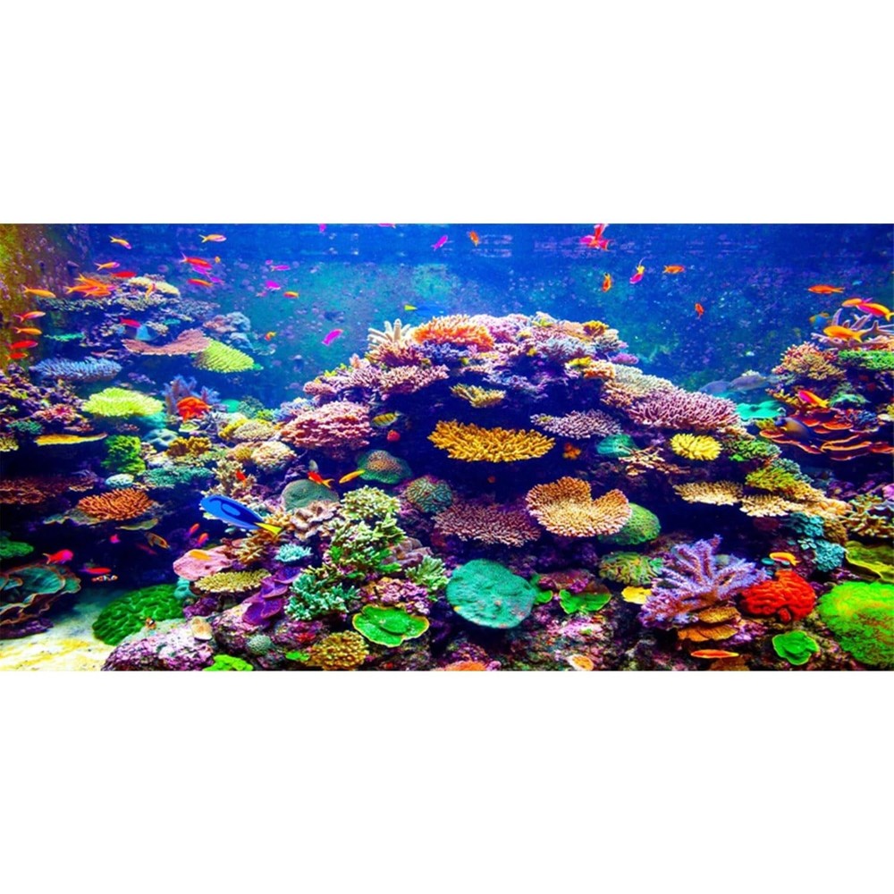 AWERT Undersea Theme Aquarium Background 36×18 inches Polyester Background Co…