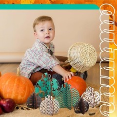 12 Pcs Fall Wooden Table Signs Pumpkin Wood Table Decor Autumn Tiered Tray De…