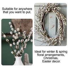 45 Stems 16＂Real Dried Pussy Willow Branches for Vase，100% Natural White