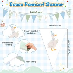 5 Pcs Silly Goose Party Decorations Blue Green Gingham Print Pennant Banners …