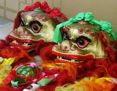 Chinese Dancing Lion | Two Person Lion Dance Costume – complete