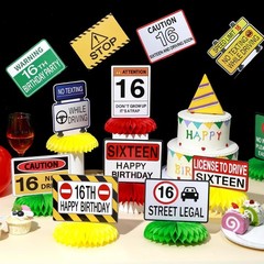 16th Birthday Driver License Party Decorations 12 Pcs Novelty License Set