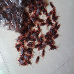 20 Prank Fake Roaches Plastic Cockroaches Creepy Roach Bugs Party Game Toy Gifts
