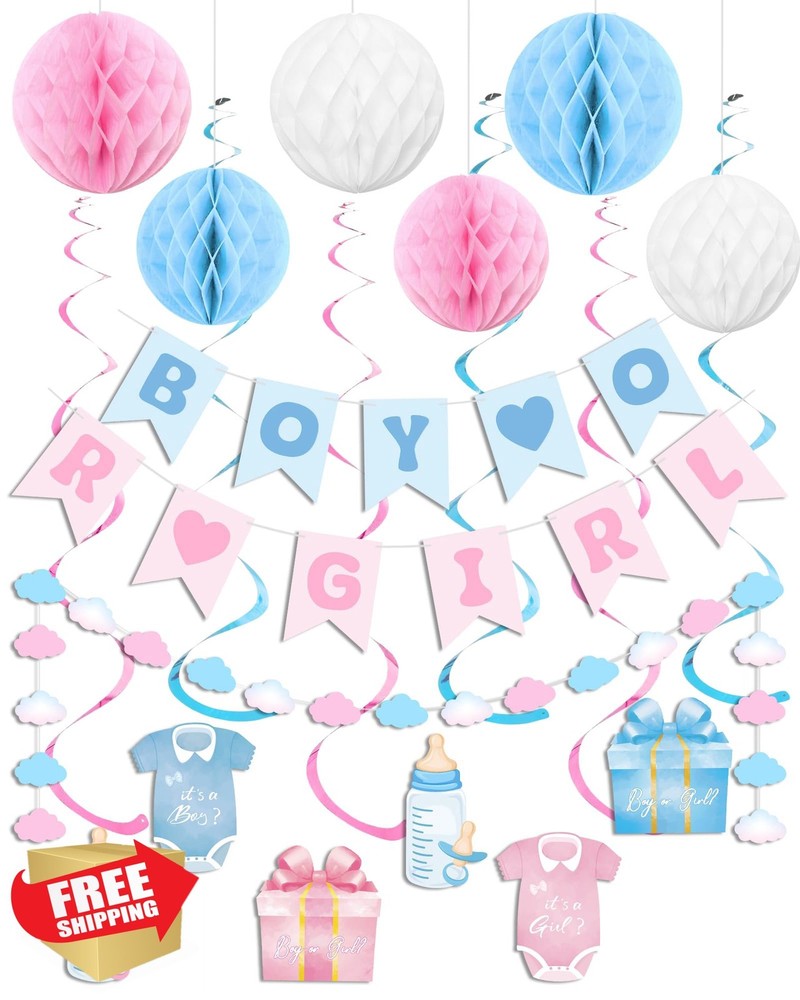 Ouddy Life Gender Reveal Decorations Blue Pink