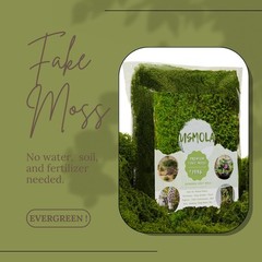 USMOLA 3.5OZ Fake Moss for Plants Indoor – Artificial Natural Green