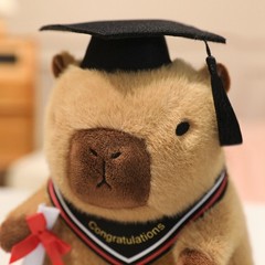 Graduation Capybara Plush Toy Soft Stuffed Animal Congrats Grad Gift