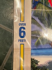 Beach/Palm Tree Wall Decorating Kit w/1 Palm Tree Centerpiece Open/Unused e2