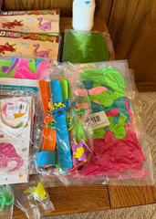 Dinosaur Birthday Party Lot Assorted Accessories Multicolor