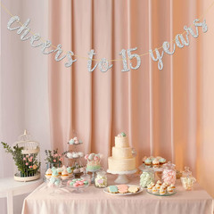 Glitter Silver Cheers to 15 Years Banner – Teenager 15Th Birthday Sign Bunting 1