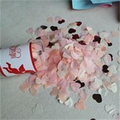15g Biodegradable Confetti Pieces Pink Heart Shape Paper Dots Table Decor