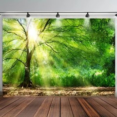 Forest Greenery Scenery Tropical Rainforest Waterfall Backdrop Photo Background