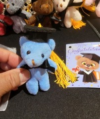 6 Mini Teddy Keychain Plush Multicolored Graduaction Bears W/ Cards & Gift Bags