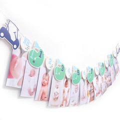 Hole in One First Birthday – Golf 1St Birthday Decorations,Golf 12 Month Photo B